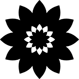 Flower with elongated petals icon