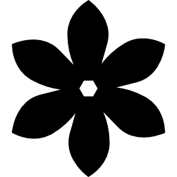 kwiat z wydłużonymi płatkami ikona