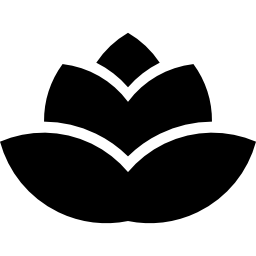 バラのつぼみ icon