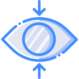 vision icon