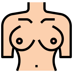brust icon