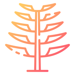 albero dell'araucaria icona