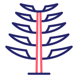 Araucaria tree icon
