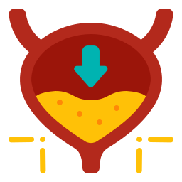 膀胱炎 icon