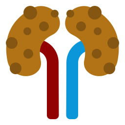 Kidney icon