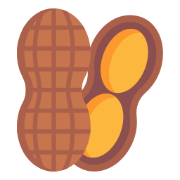 Peanut icon