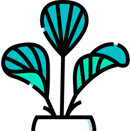 Lady palm icon