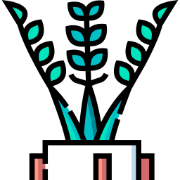 Zamia icon