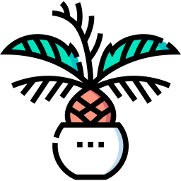 palma sagowa ikona