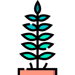 Boston fern icon