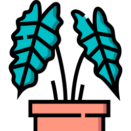 Amazonica icon