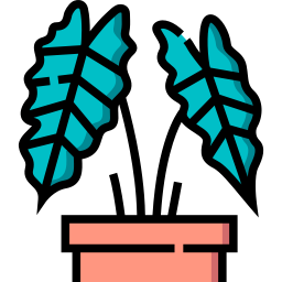 アマゾニカ icon