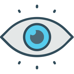 Vision icon