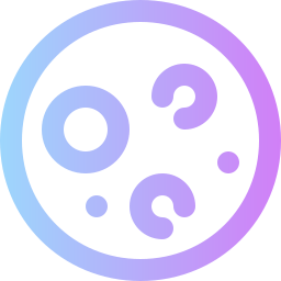 Moon icon