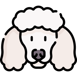 Poodle icon