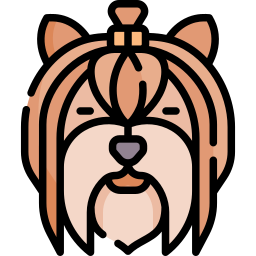 ヨークシャーテリア icon