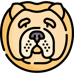 Chow chow icon