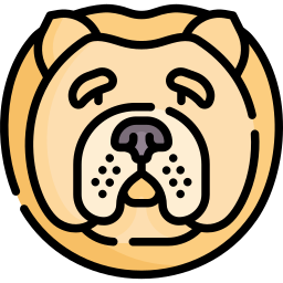 chow-chow icon