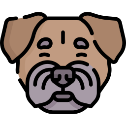 grenzterrier icon