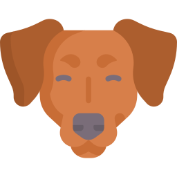 dachshund Ícone