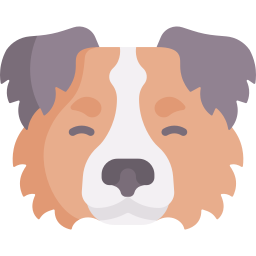 Australian shepherd icon