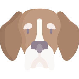 beagle icona