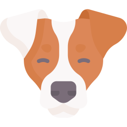 Jack russell terrier icon