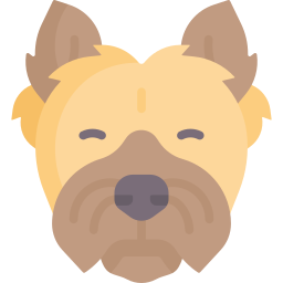 cairn terrier Ícone