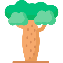 baobá Ícone