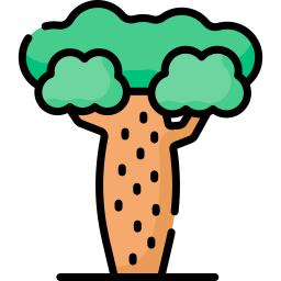 baobab icon