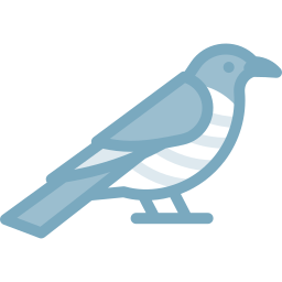 Cuckoo icon