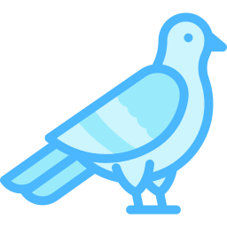 Dove icon