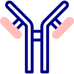 anticorps Icône