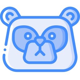 panda icon