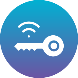 Smart key icon