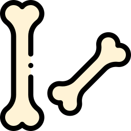 Bones icon