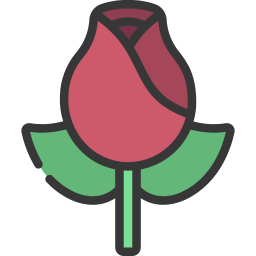 Цветок роза иконка