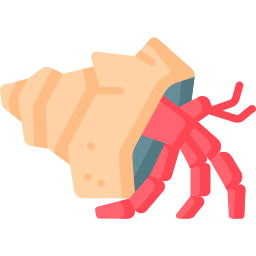 caranguejo eremita Ícone