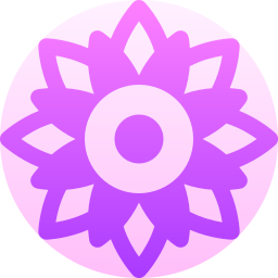 Mandala icon