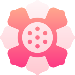 Mandala icon