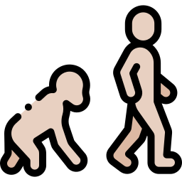 evolución icono