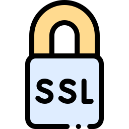 ssl icon