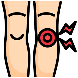 knie icon