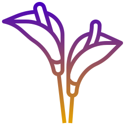 Araceae icon