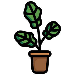 Fiddle fig icon