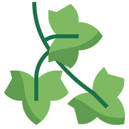 English ivy icon