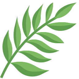 Fern icon