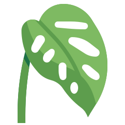 몬스테라 잎 icon