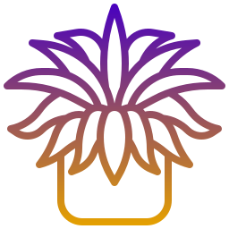 거미 식물 icon