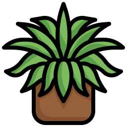 Пауковое растение иконка